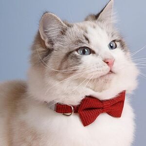 Raccolta Plastica Pet Essential Bow Collar Red Black Houndstooth pattern S-M Pet